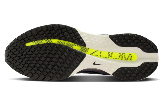 Nike Pegasus Premium Running Shoes IR1815-012