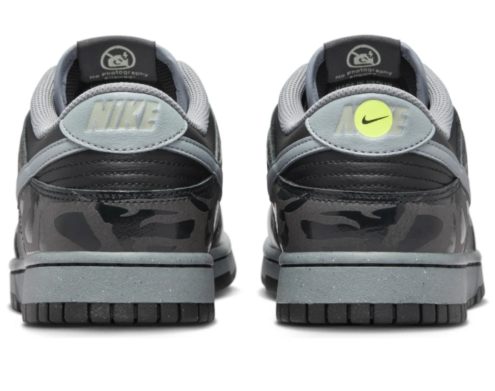 Nike Dunk Low 'Berlin' Sneakers | FZ3053-001